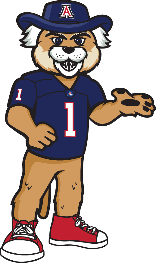 Arizona Wildcats 2013-Pres Mascot Logo v4 iron on transfers for clothing